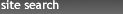site search